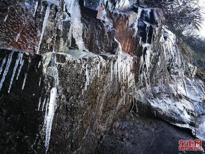 虫虫助手下载